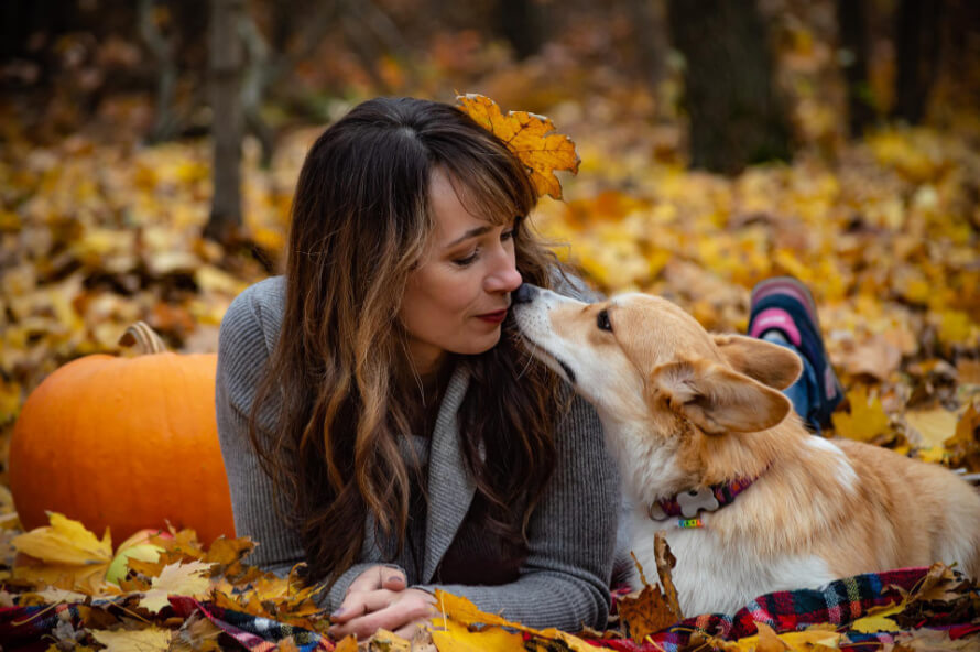 welshcorgi